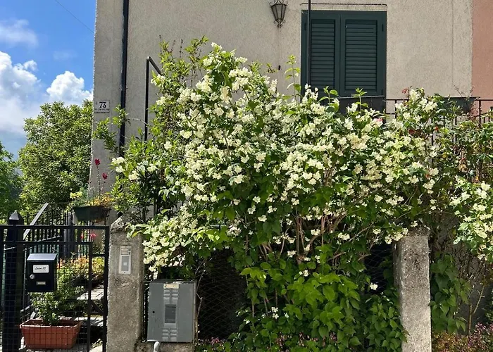 Lecine 73 Gioia Dei Marsi